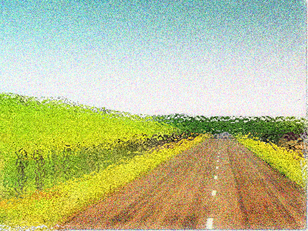 Portfolio 7